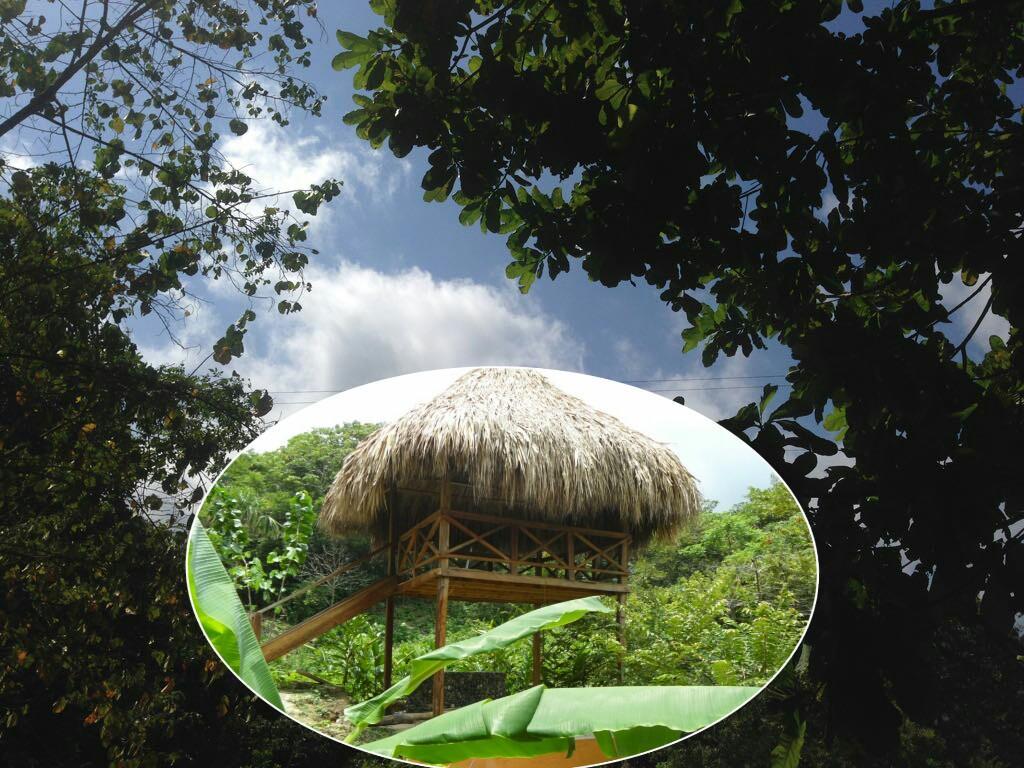 Las Mananitas De La Sierra Эль-Саино Экстерьер фото