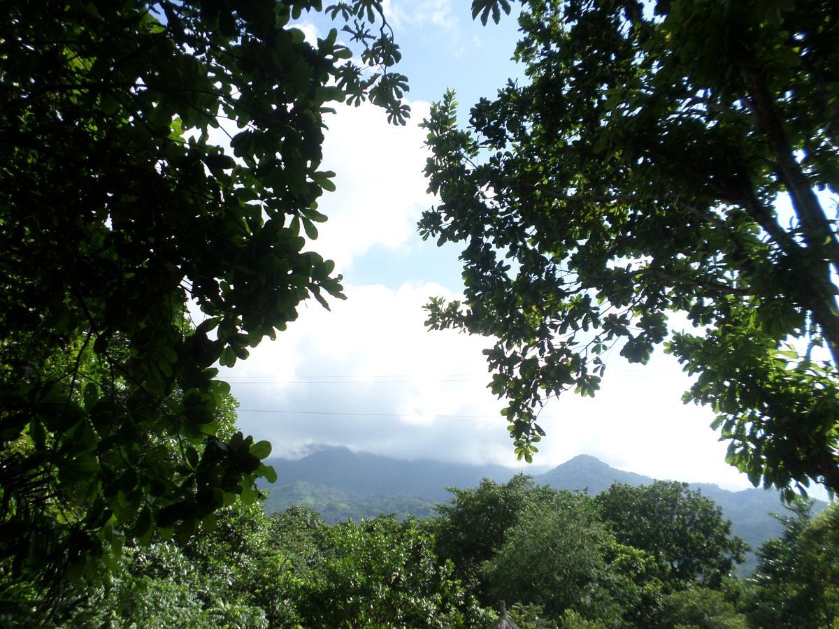 Las Mananitas De La Sierra Эль-Саино Экстерьер фото
